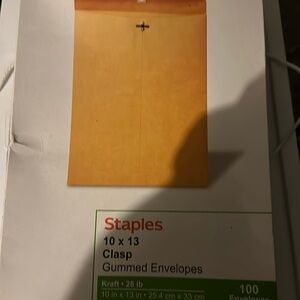 10x13 clasp gummed envelopes
